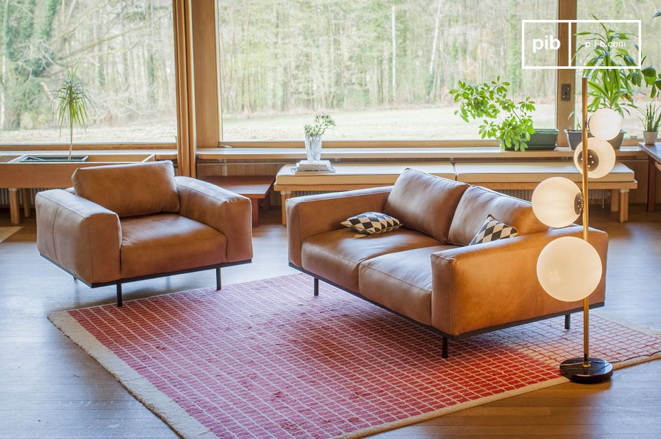In a spacious living room, combine two or three elements of the range.