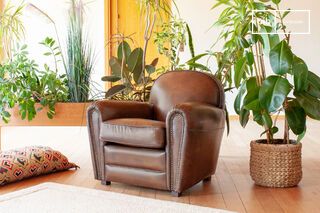 Fawn leather club armchair English Coffee