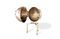 Miniature Globe bar Jules Vernes Clipped