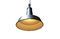 Miniature Black Factory suspension light Clipped