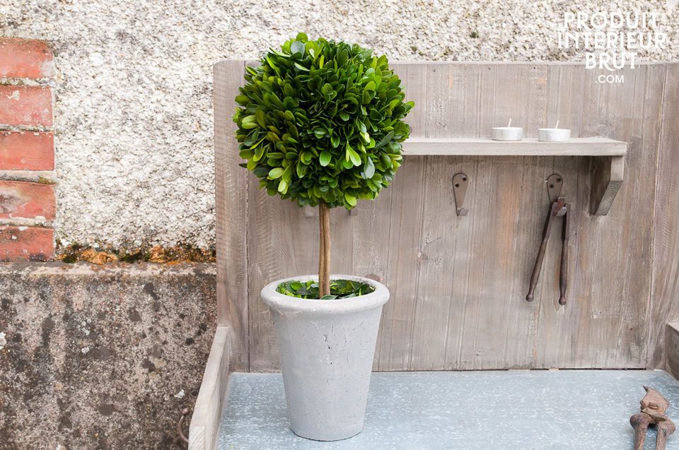 Boxwood ball in a grey pot