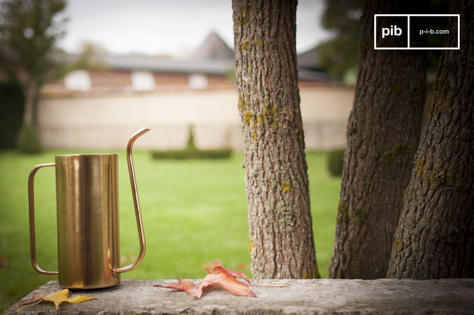 Pretty gilded brass jug.