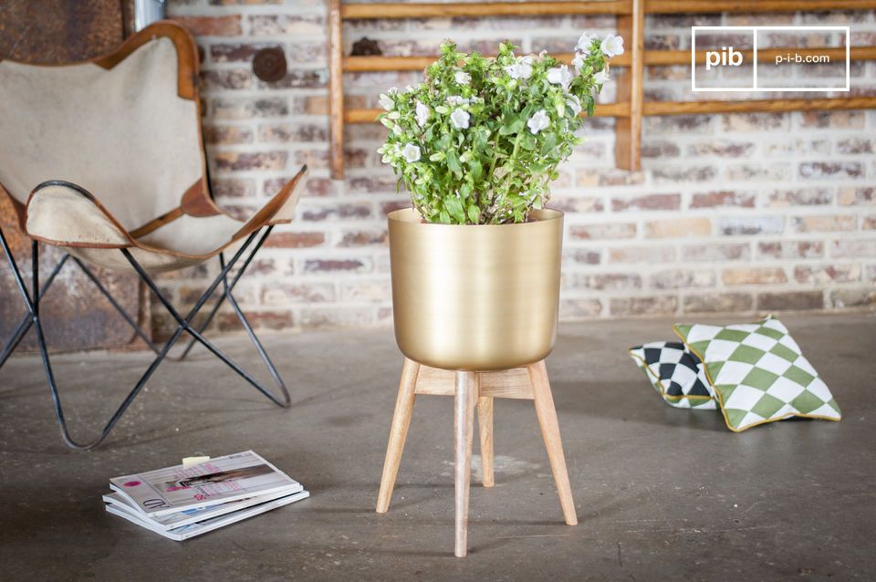 Nice plant holder in gilded brass.