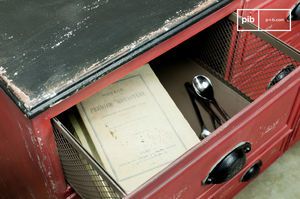 Brighton Metallic Chest