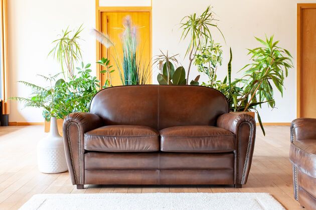 Fawn leather 2-seater club sofa English Coffee