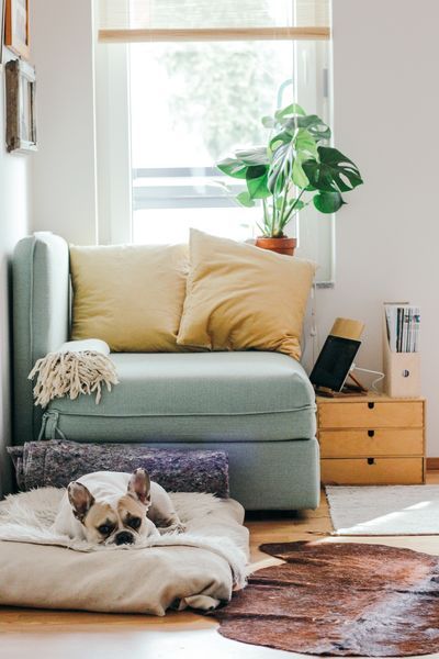 Cosy reading area