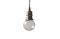 Miniature Darwin silver suspension lamp Clipped