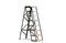 Miniature Eight-step studio stepladder Clipped