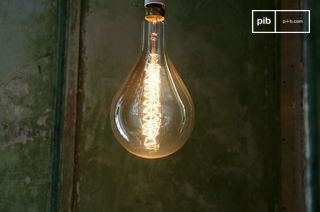 Giant bulb with long filament