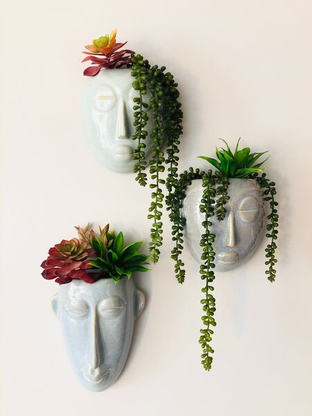 Green wall: An oasis of fresh greenery in your space