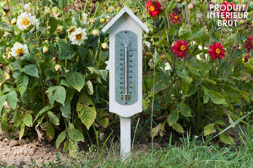 Home thermometer