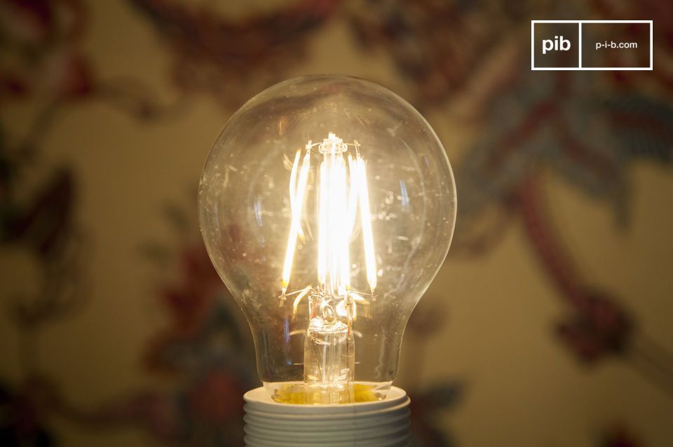 Vintage charm and modern LED technology to equip your lamps.