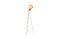 Miniature Tripod floor lamp Oslo Wood Clipped