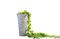 Miniature Umbrella stand Pelen Clipped