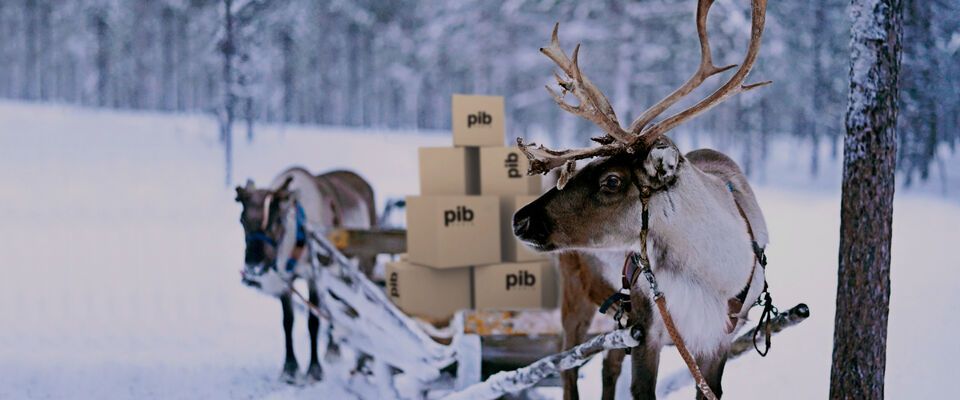 noel livraison pib