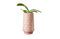 Miniature Pink ceramic vase Aurora Clipped