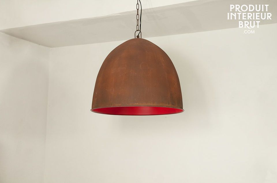 Raspberry Steel pendant light