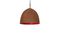 Miniature Raspberry Steel pendant light Clipped