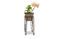 Miniature Rebstock Plant Stand Clipped