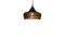 Miniature Skaal pendant lamp Clipped