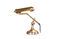 Miniature Brass desk lamp Stanford Clipped