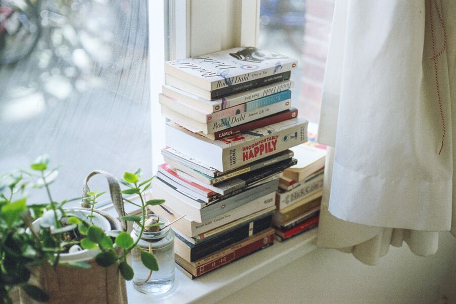 Store books on the window shelf