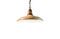 Miniature Warehouse ceiling light Clipped